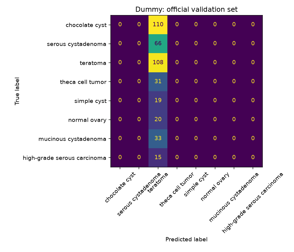 Dummy confusion matrix